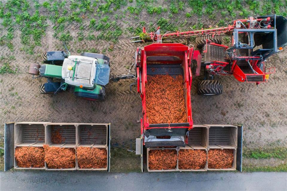 Der Öko-Anteil an der Agrarfläche wächst nur sehr langsam. (Archivbild)Julian Stratenschulte/dpa