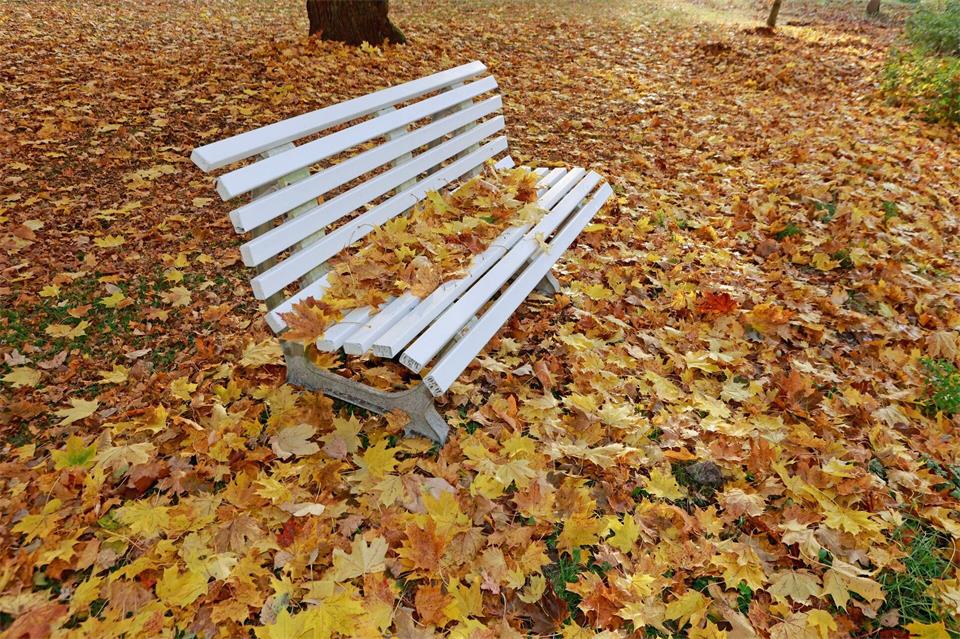 Der Oktober brachte die herbstliche Laubfärbung. (Archivbild) Matthias Bein/dpa