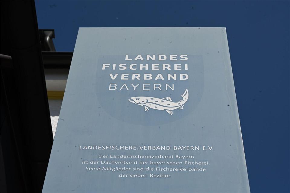 Der Präsident des Landes Fischereiverbands Bayern ist zurückgetreten. Florian Diettrich/dpa