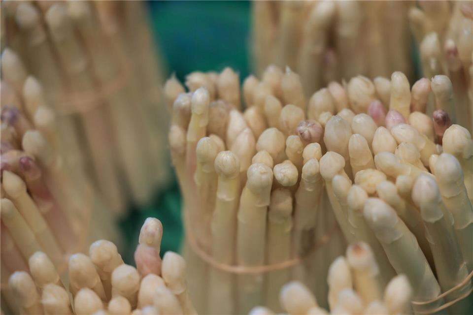 Der Preis für Spargel ist etwa auf Wochenmärkten ein beliebtes Gesprächsthema. Dabei variiert er im Laufe der Saison sehr stark. (Archivbild)Oliver Berg/dpa