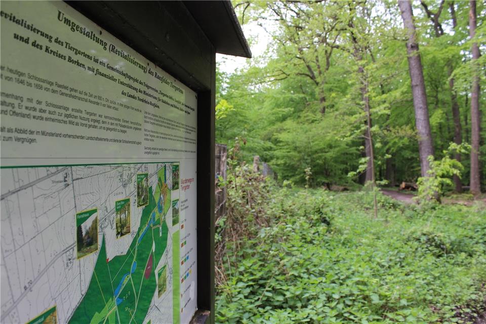 Der Raesfelder Tiergarten wird von vielen Besuchern zur Naherholung genutzt. Ein Verkauf des Geländes steht schon länger im Raum.
