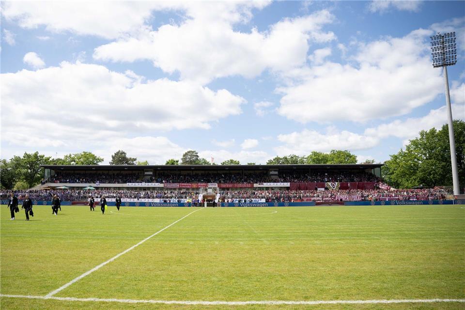 Der Rasen des Mommsenstadions ist von Pilzen befallen. (Archivbild)Matthias Koch/dpa