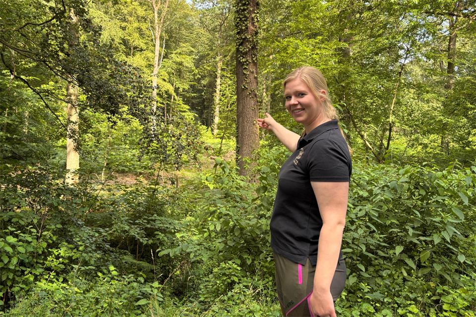 Der Regen benässt zwar den Oberboden im Wald, bis tief ins Wurzelwerk reicht er aber nicht, weiß Försterin Julia Schmitte.