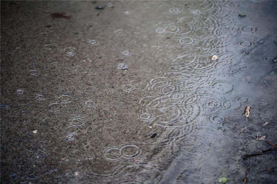 Der Regenschirm sollte bis zum Wochenende griffbereit bleiben. (Symbolbild)Henning Kaiser/dpa