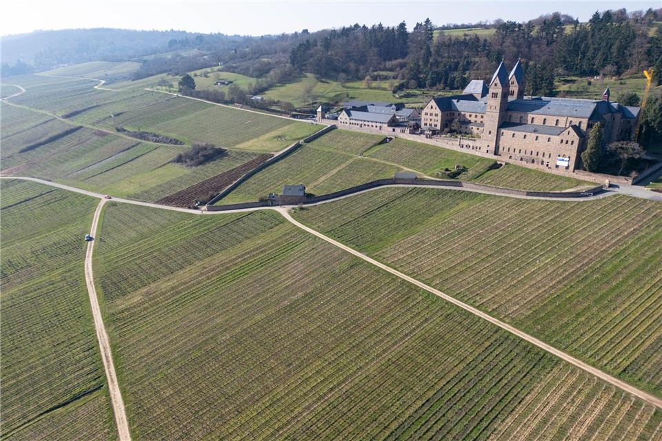 Der Rheingau und der angrenzende Taunus gelten als exzellente Region für Motorradtouren. (Archivbild)Boris Roessler/dpa