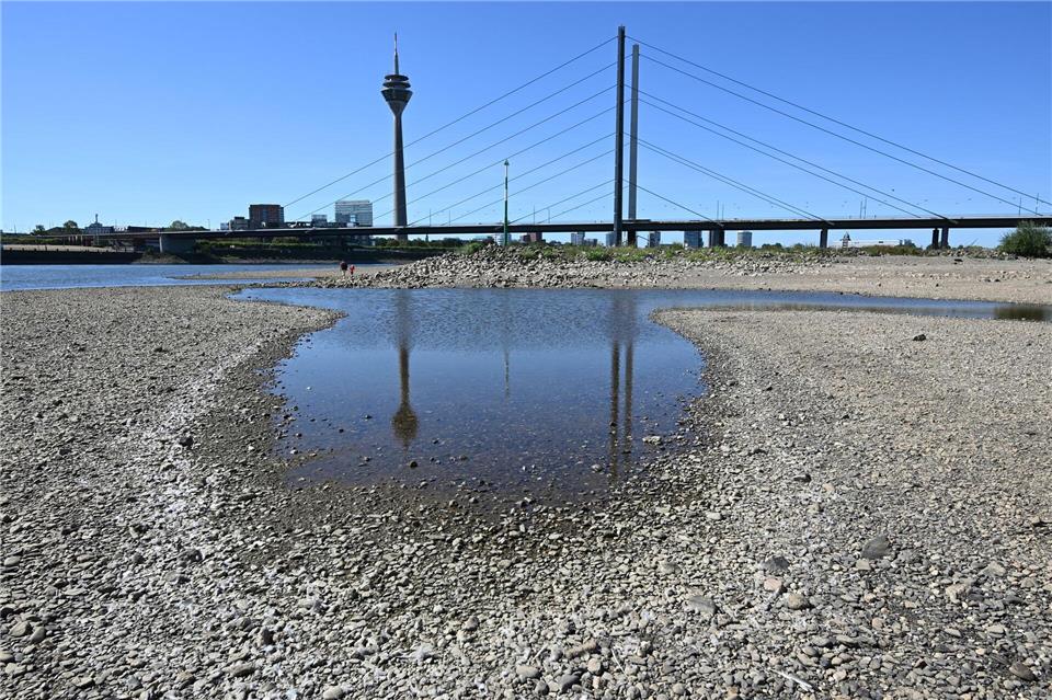 Der Rheinturm spiegelt sich bei niedrigem Wasserstand auf dem Rhein in einer Lache.Federico Gambarini/dpa