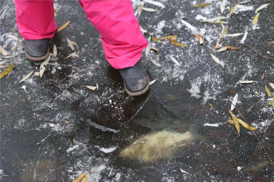 Der Sauerstoffmangel führt zum Tod der Tiere. (Archivbild).Jörg Carstensen/dpa