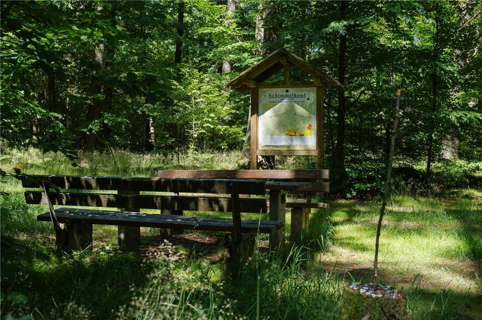 Der Schimmelkopf ist 694,8 Meter hoch, der Dollberg bei Nohfelden aber 695,4 Meter. Sechzig Zentimeter höher.Oliver Dietze/dpa