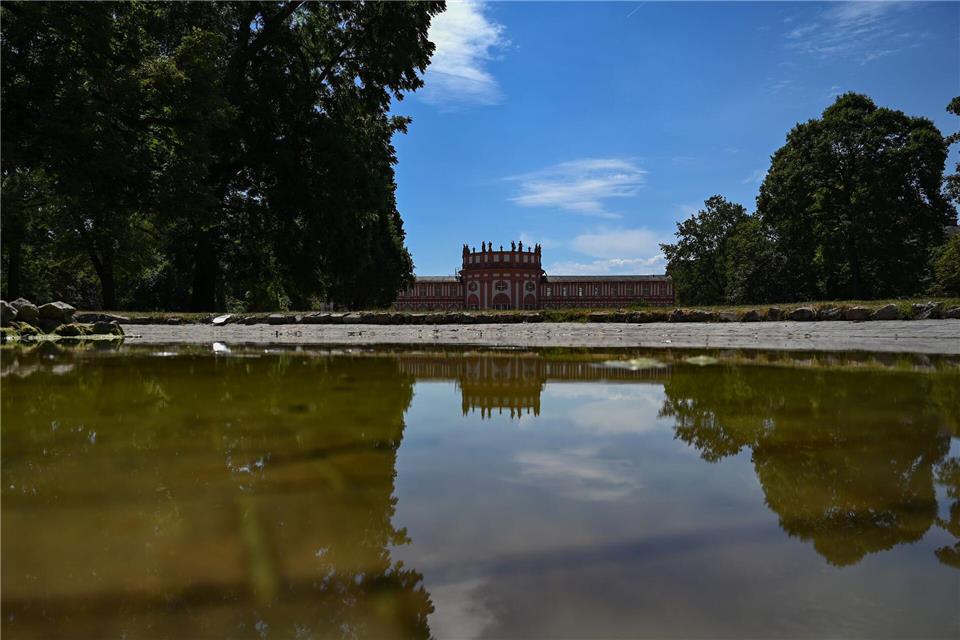 Der Schlosspark Wiesbaden Biebrich ist im Mai 2025 zum Tatort geworden. (Archivbild)Arne Dedert/dpa