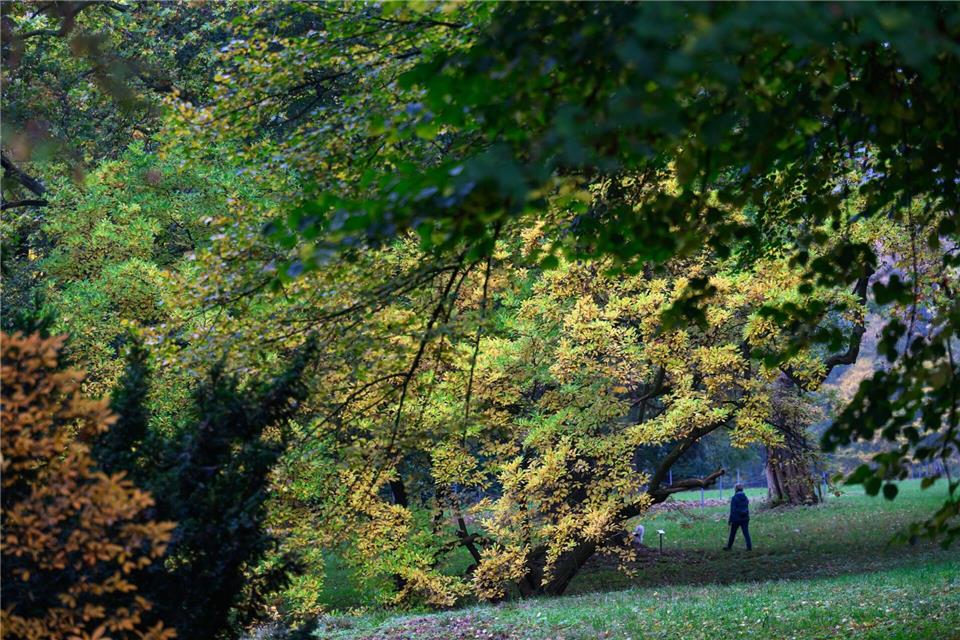 Der Schlosspark entstand um 1830 im Stil eines englischen Landschaftsparks.Hendrik Schmidt/dpa