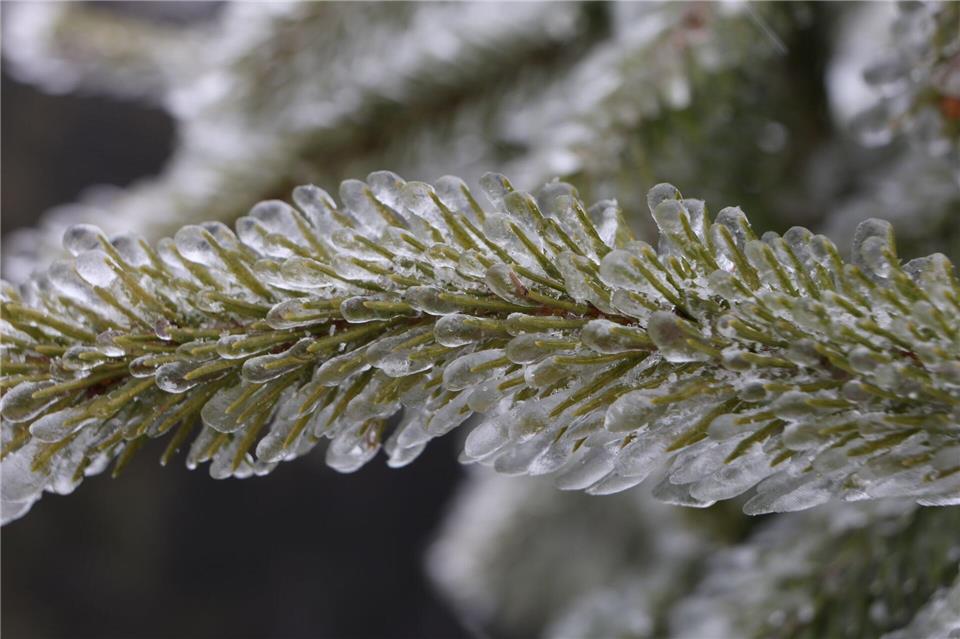 Der Schnee ist zumindest vorübergehend wieder zurück, auch hier im Harz. (Symbolbild)Matthias Bein/dpa