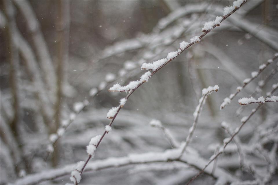 Der Schnee weiß genau, wo er liegen bleiben kann.