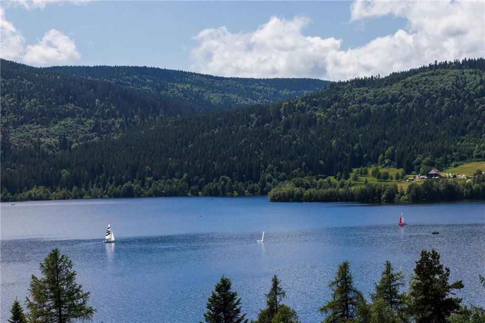 Der Schwarzwald ist eine der gefragtesten Urlaubsregionen in Deutschland. (Archivbild)Philipp von Ditfurth/dpa