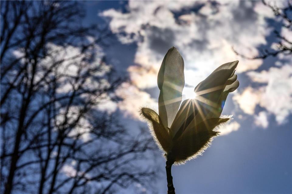 Der Sonnenschein der kommenden Tage wird nur vereinzelt durch Wolken oder Schauer getrübt. (Symbolbild)Frank Hammerschmidt/dpa