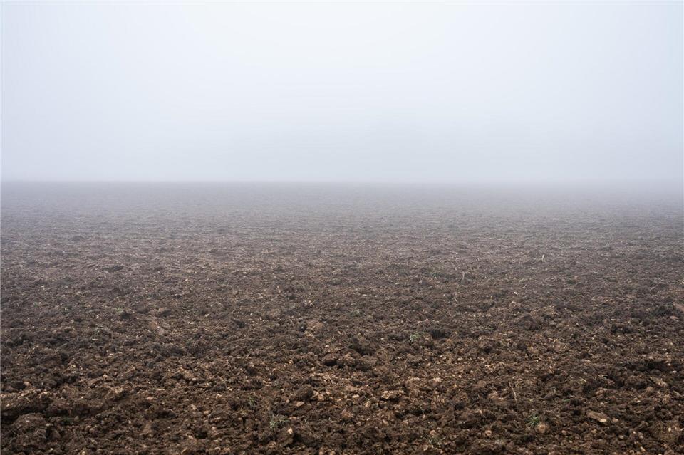 Der Sonntag in Bayern wird neblig. (Symbolbild)Silas Stein/dpa