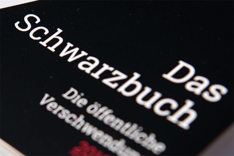 Der Steuerzahlerbund will mit seinem Schwarzbuch auf Fälle von Steuerverschwendung hinweisen. (Symbolbild)Ralf Hirschberger/dpa-Zentralbild/dpa