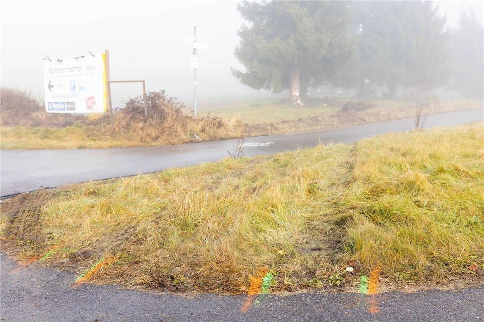 Der Streifenwagen kam aus noch ungeklärter Ursache von der Fahrbahn ab.Philipp von Ditfurth/dpa