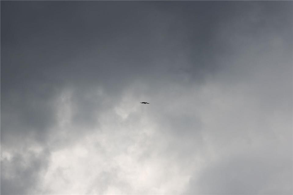 Der Südosten Brasiliens wurde vom Windsturm stark betroffen. (Symbolbild)Rolf Vennenbernd/dpa
