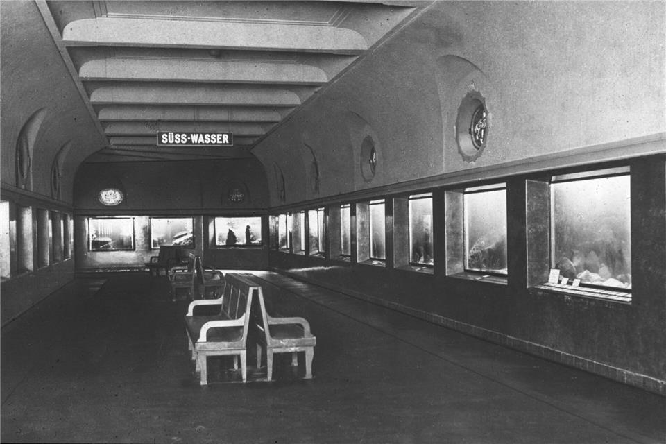Der Süßwasser-Bereich des Aquariums des Berliner Zoos wurde im Zweiten Weltkrieg zerstört. (Archivbild)Handout / Berlin/AZGB (Archiv Zoologische Gärten Berlin)/dpa