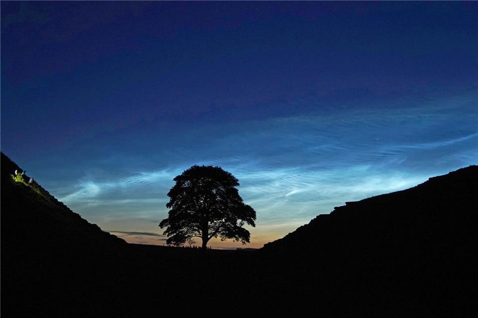 Der Sycamore Gap Tree in England war einst ein beliebtes Fotomotiv. (Archivfoto)Owen Humphreys/PA Wire/dpa