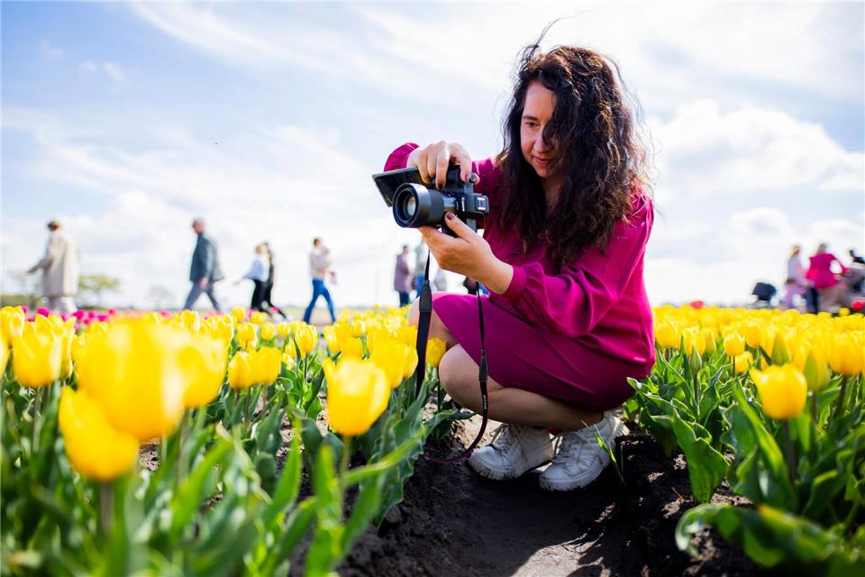 Der Tag des offenen Tulpenfeldes zieht Tausende Besucher an. Michael Matthey/dpa