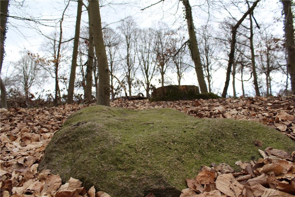 Der Teufelsstein in Erle wanderte vor mehr als 200.000 Jahren ins Münsterland. 