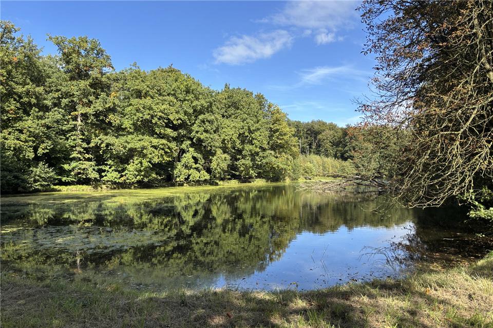 Der Tiergarten am Schloss Raesfeld kann mit einer Rallye, die auch für Familien konzipiert ist, erkundet werden.
