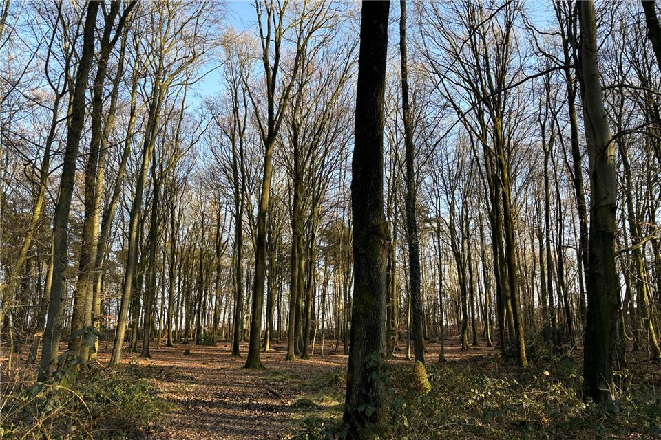 Der Tiergarten in Raesfeld liegt im Naturpark Hohe Mark.