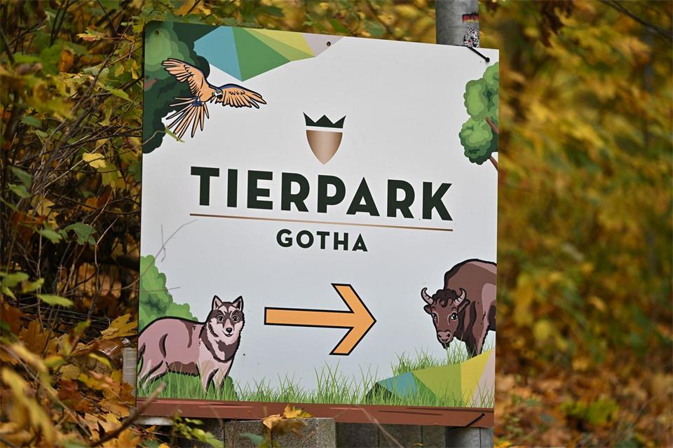 Der Tierpark Gotha hält damit nun insgesamt drei Tiger.Martin Schutt/dpa