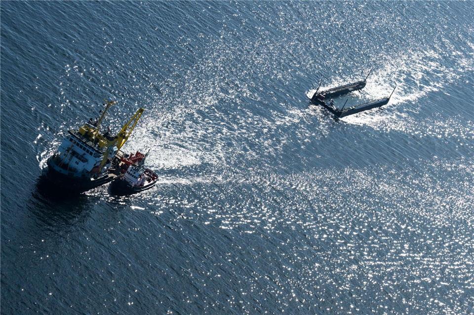 Der Transport bedeutet Experten zufolge unter anderem wegen des Lärms viel Stress.Philip Dulian/dpa