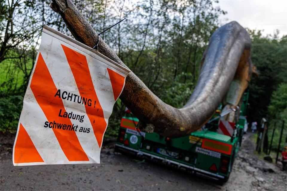 Der Transport verläuft reibungslos.David Ebener/dpa