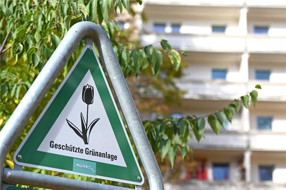 Der Verein BaumEntscheid fürchtet Verzögerungen bei der Umsetzung des Berliner Klimaanpassungsgesetzes. (Archivbild)Elisa Schu/dpa