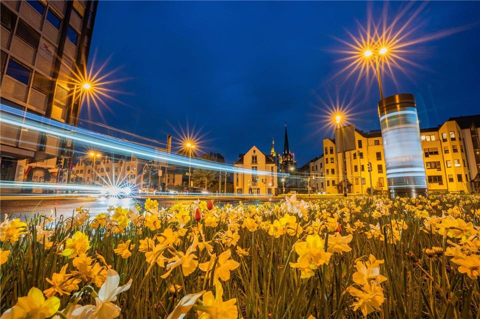 Der Verkehr fließt zur Blauen Stunde um eine Verkehrsinsel mit Frühlingsblühern in der Innenstadt von Frankfurt/Main.Andreas Arnold/dpa