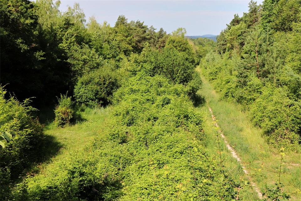 Der Verkehr rollt nun um die Berge herum: Dieser ehemalige Streckenabschnitt der Autobahn A 4 soll bald offizieller Wanderweg sein.Deike Uhtenwoldt/dpa-tmn