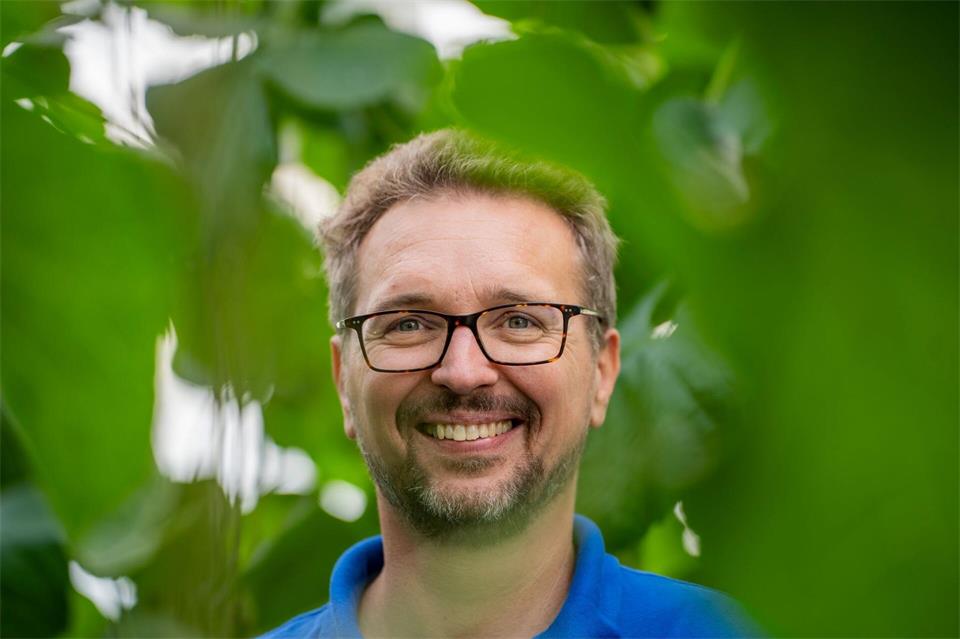 Der Versuchsingenieur Michael Kloss leitet die Melonenversuche des Landesbetriebs Landwirtschaft Hessen (LLH) in Geisenheim.Andreas Arnold/dpa
