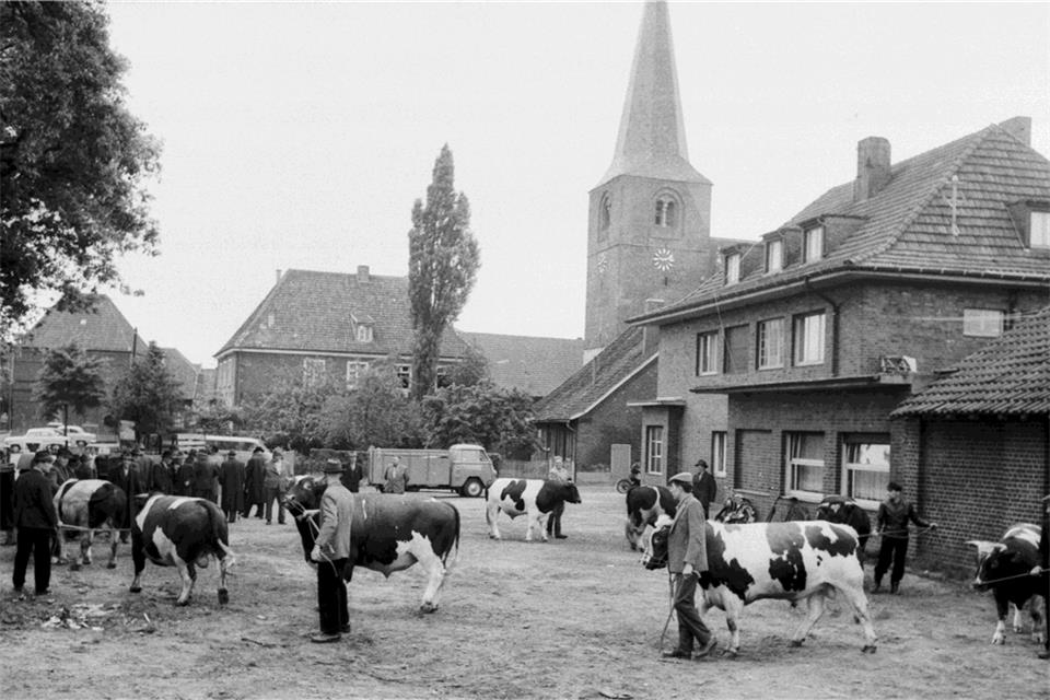 Der Viehmarkt auf dem Platz bei der Gaststätte Tiegler (Epping) an der Weseler Straße.