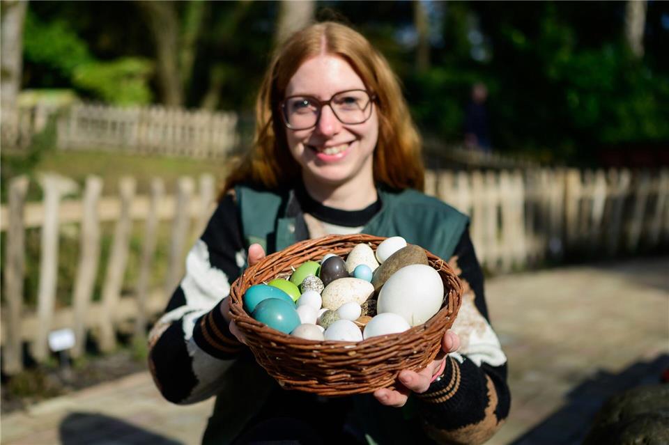 Der Vogelpark in Walsrode meldet Nachwuchs bei vielen Arten. Philipp Schulze/dpa