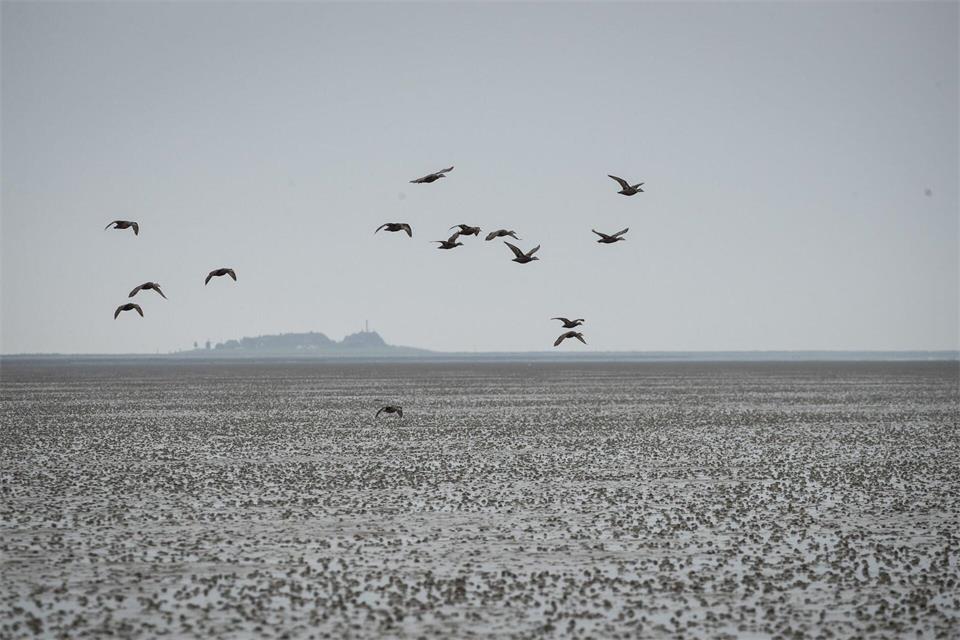 Der WWF fordert die Landesregierung nun auf, Regelungen für einen verbesserten Schutz der Unterwasserwelt zu erarbeiten. (Archivbild)Christian Charisius/dpa