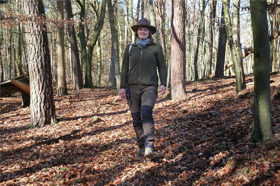 Der Wald bietet ideale Voraussetzungen für Wildkatzen.Bernd Wüstneck/dpa