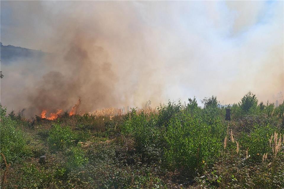 Der Waldbrand bei Sundern im Sauerland ist inzwischen unter Kontrolle. Bis alle Glutnester gelöscht sind, wird es aber noch den Tag über dauern.-/Feuerwehr Sundern/dpa