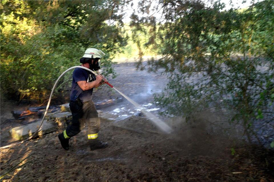 Der Waldbrand drohte, auf ein VHS-Gebäude in Lingen überzugreifen. (Symbolbild) Simon Harms/dpa
