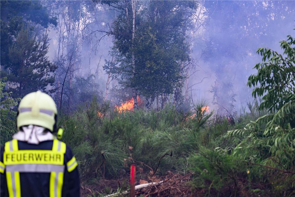 Feuerwehr ändert Taktik bei Waldbrand in der Gohrischheide Der Waldbrand in der Gohrischheide hält weiter an.Robert Michael/dpa