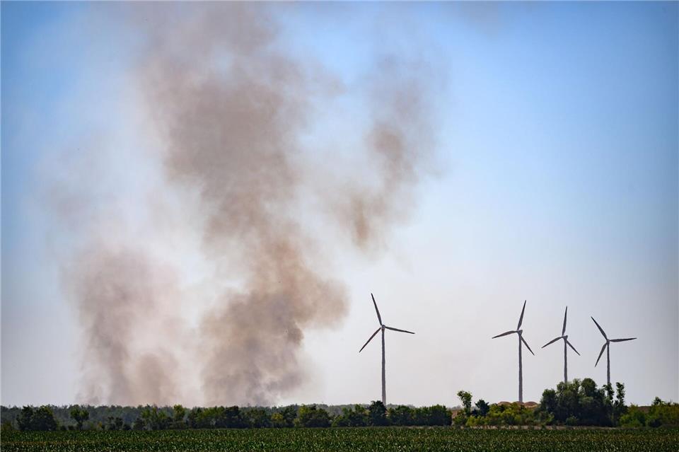 Der Waldbrand in der Gohrischheide in Sachsen ist auf das Nachbarland Brandenburg übergesprungen.Robert Michael/dpa