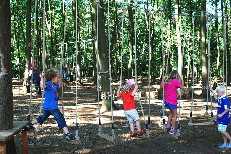 Der Walderlebnistag führt am 30. Juli in den Niedrigseilgarten.