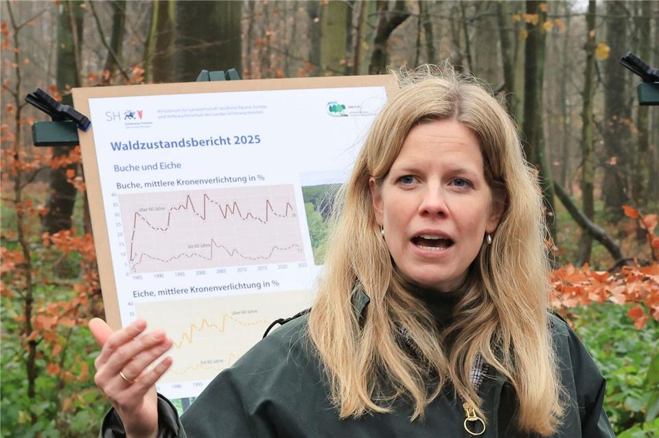 Der Waldzustand möglichst zu verbessern, gehört zu den Aufgabengebieten der neuen Forstministerin Cornelia Schmachtenberg. Christian Charisius/dpa