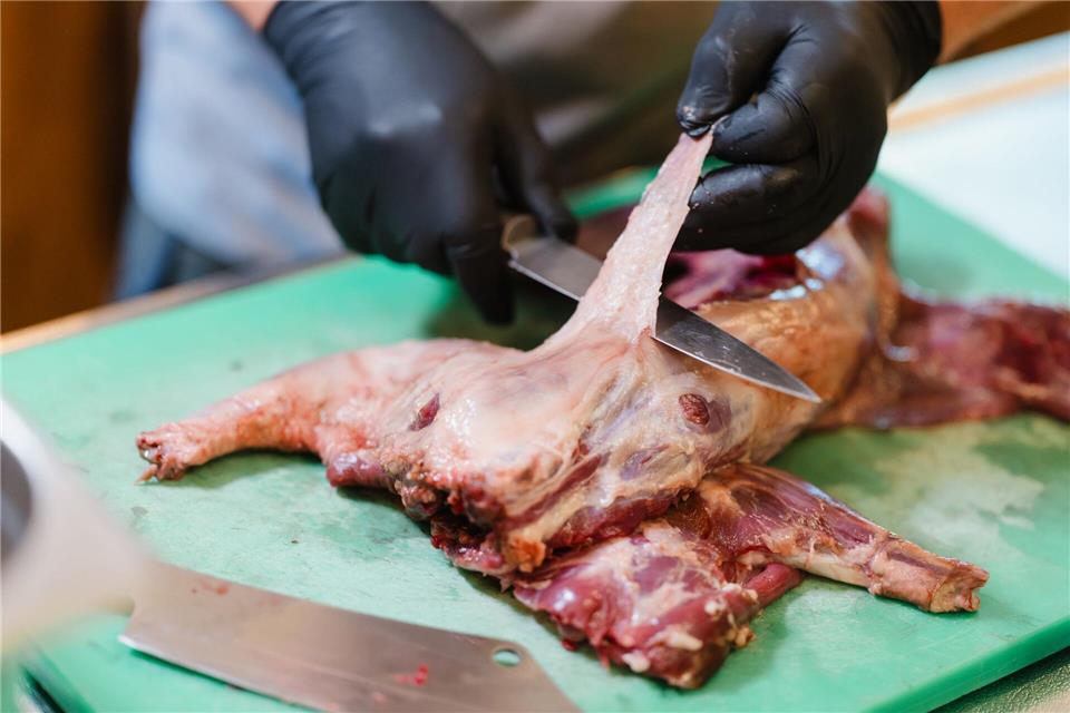 Der Waschbär gilt als invasive Art, sein Fleisch wird als zart beschrieben.Michael Reichel/dpa
