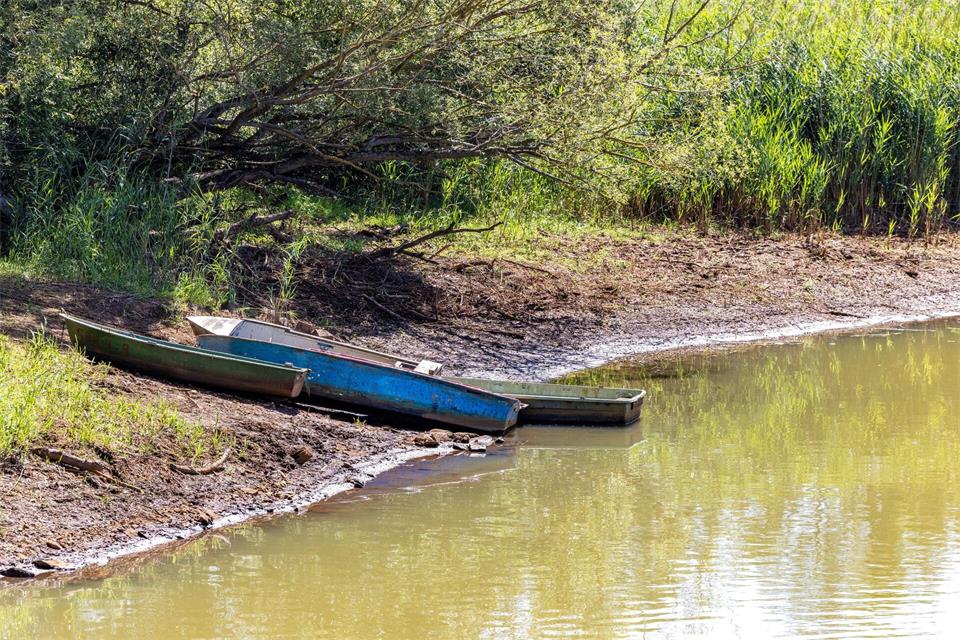 Der Wasserstand der Spree im südlichen Brandenburg ist zu niedrig - es werden Maßnahmen dagegen ergriffen. (Archivbild)Frank Hammerschmidt/dpa