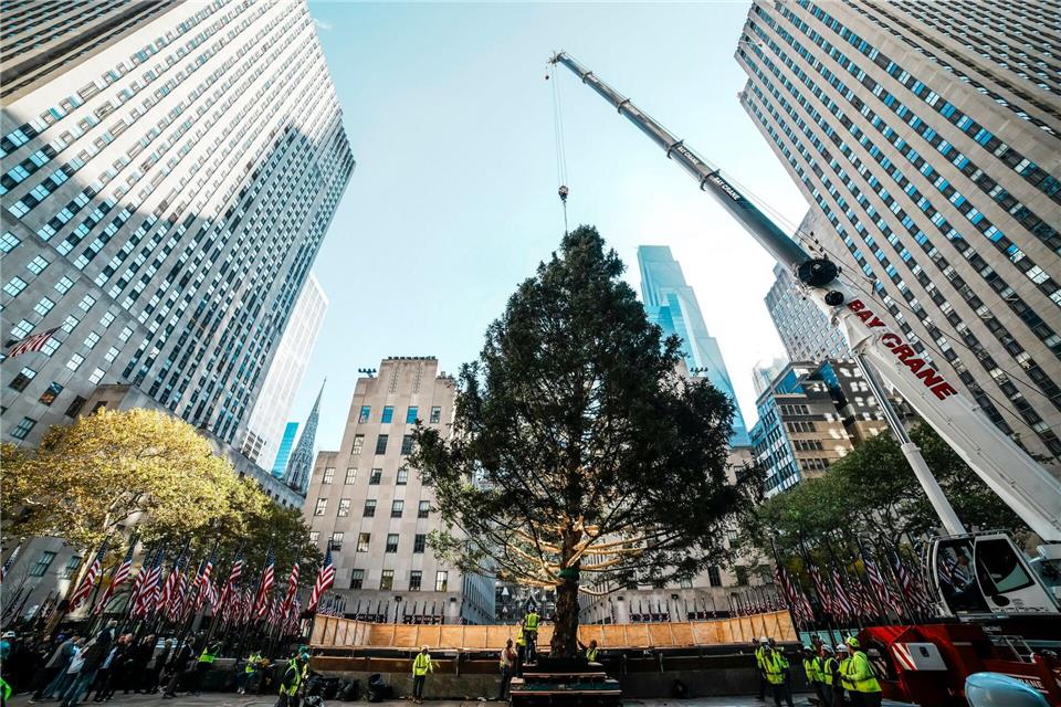 Der Weihnachtsbaum des Rockefeller Centers wird aufgestellt.Eduardo Munoz Alvarez/AP/dpa