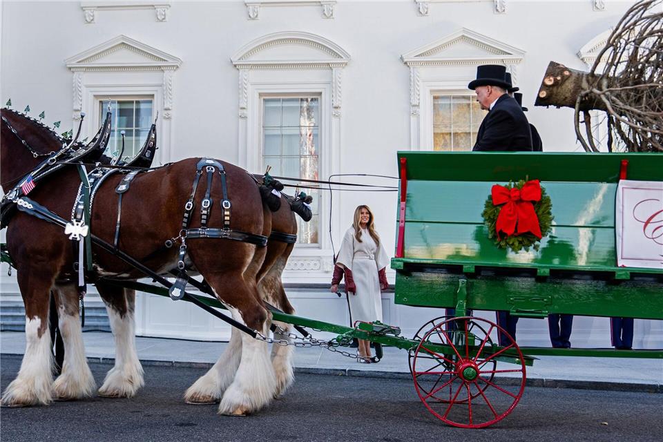 Der Weihnachtsbaum kommt im Weißen Haus an.Julia Demaree Nikhinson/AP/dpa