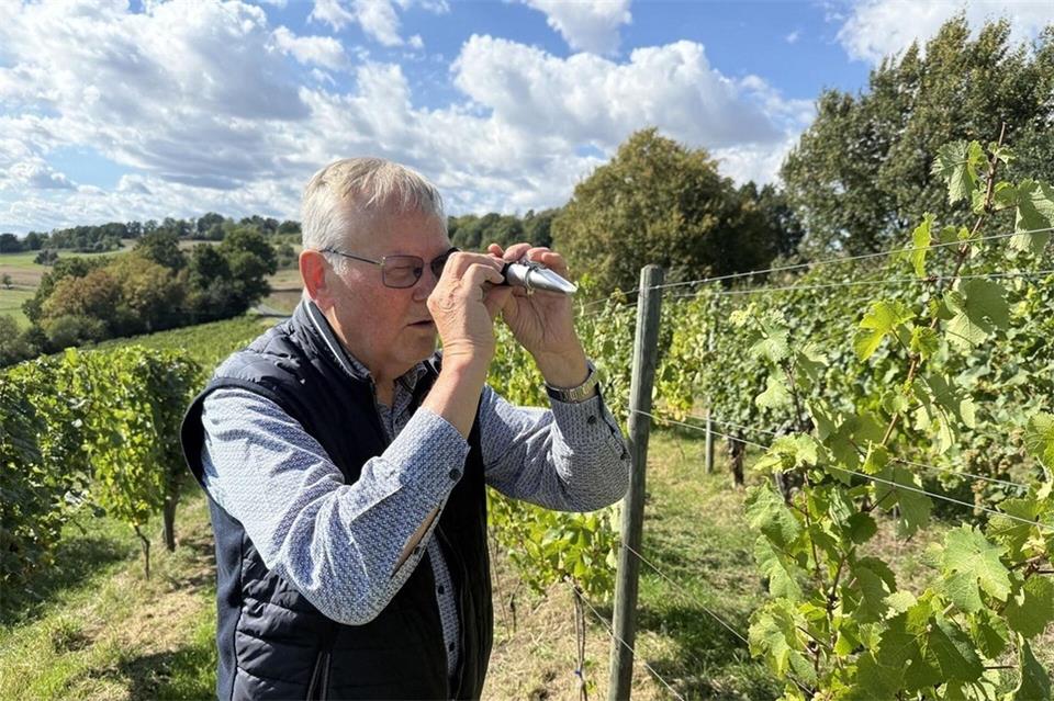 Der Weinberg gehört offiziell zur Weinregion „Rheingau“.Nicole Schippers/dpa